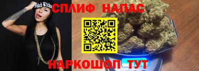 индика Коммунар