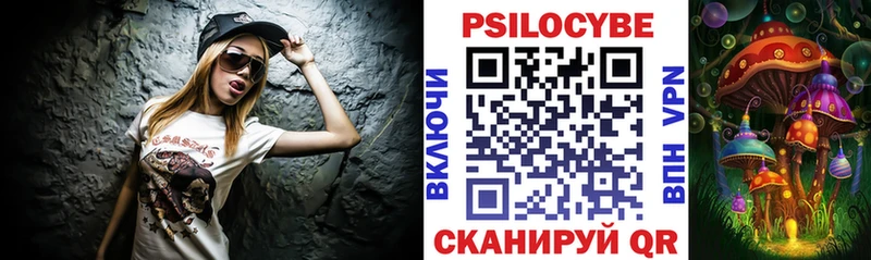 mega как войти  Кандалакша  Псилоцибиновые грибы GOLDEN TEACHER 