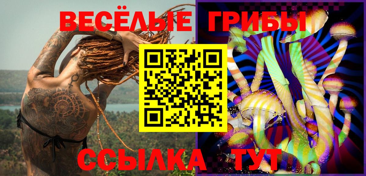 Кандалакша  Галлюциногенные грибы Psilocybine cubensis  Вход с VPN 