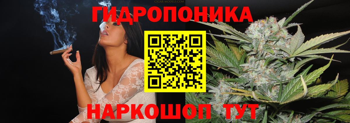 Бошки Шишки AK-47  Шишки марихуана конопля  Шишки марихуана план  Вход с VPN  Кандалакша 